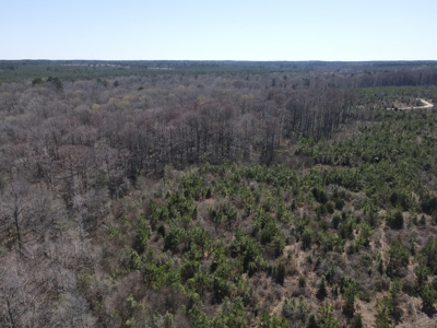 Hunting Acreage Nevada County Arkansas - image 12
