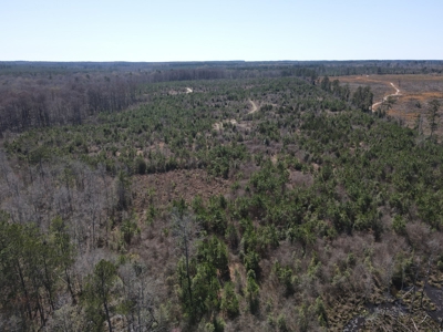 Hunting Acreage Nevada County Arkansas - image 10