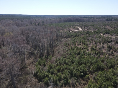 Hunting Acreage Nevada County Arkansas - image 15