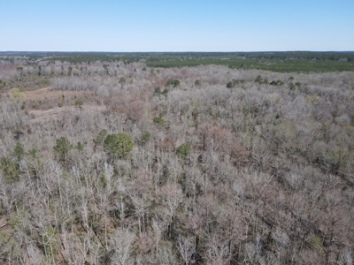 Hunting Acreage Nevada County Arkansas - image 19
