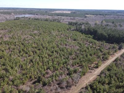 Hunting Acreage Nevada County Arkansas - image 31