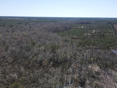 Hunting Acreage Nevada County Arkansas - image 24