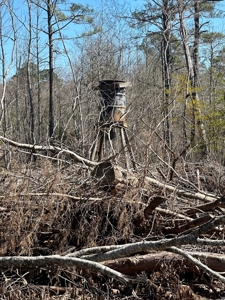Hunting Acreage Nevada County Arkansas - image 4