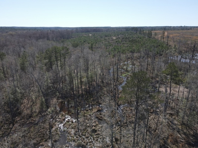 Hunting Acreage Nevada County Arkansas - image 8