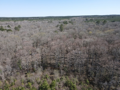 Hunting Acreage Nevada County Arkansas - image 16
