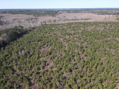 Hunting Acreage Nevada County Arkansas - image 36