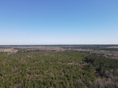 Hunting Acreage Nevada County Arkansas - image 29