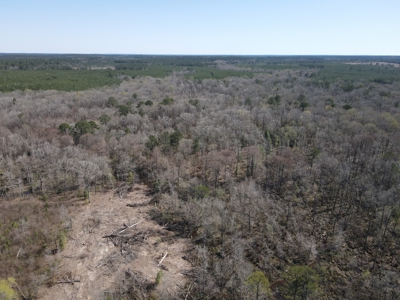 Hunting Acreage Nevada County Arkansas - image 25
