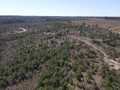 Hunting Acreage Nevada County Arkansas - image 14