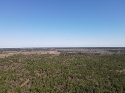 Hunting Acreage Nevada County Arkansas - image 28