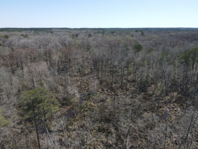 Hunting Acreage Nevada County Arkansas - image 7