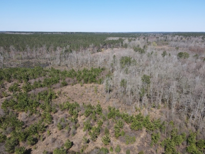 Hunting Acreage Nevada County Arkansas - image 18