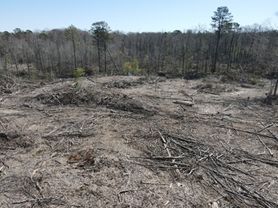 Hunting Acreage Nevada County Arkansas - image 6
