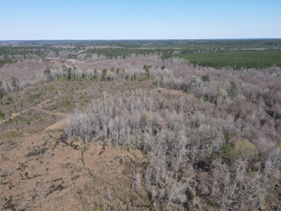 Hunting Acreage Nevada County Arkansas - image 22