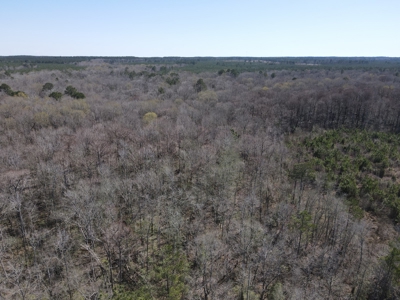 Hunting Acreage Nevada County Arkansas - image 11