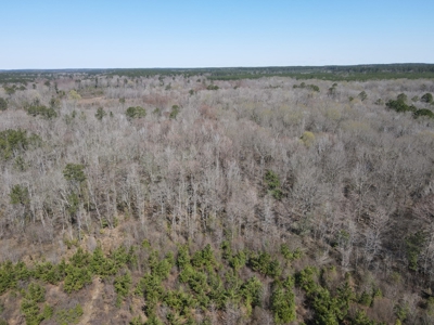 Hunting Acreage Nevada County Arkansas - image 17