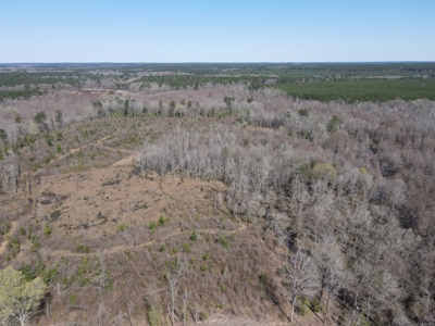 Hunting Acreage Nevada County Arkansas - image 21