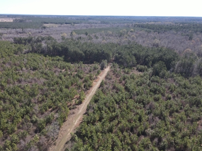 Hunting Acreage Nevada County Arkansas - image 32