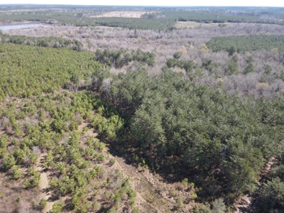 Hunting Acreage Nevada County Arkansas - image 34