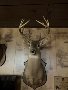 Kentucky Hunting & Recreational Land With Cabin For Sale - image 20