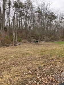 Kentucky Hunting & Recreational Land With Cabin For Sale - image 10