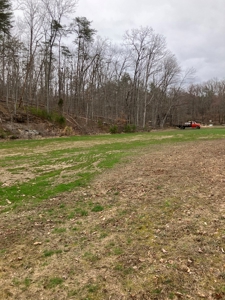 Kentucky Hunting & Recreational Land With Cabin For Sale - image 2