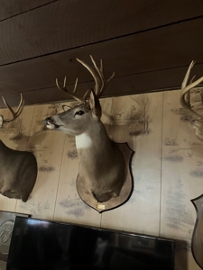 Kentucky Hunting & Recreational Land With Cabin For Sale - image 15