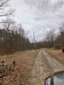 Kentucky Hunting & Recreational Land With Cabin For Sale - image 12