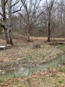 Kentucky Hunting & Recreational Land With Cabin For Sale - image 6
