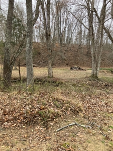 Kentucky Hunting & Recreational Land With Cabin For Sale - image 3