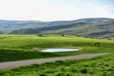 Mountain Luxury Horse Property For Sale Carbondale Colorado - image 1
