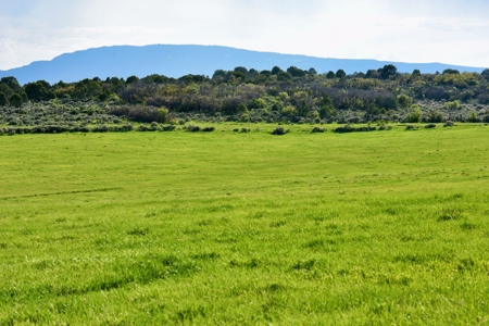 Mountain Luxury Horse Property For Sale Carbondale Colorado - image 4