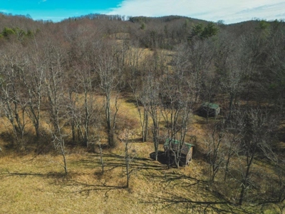 Large Land Tract for Sale in Floyd VA! - image 8