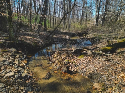 Large Land Tract for Sale in Floyd VA! - image 16