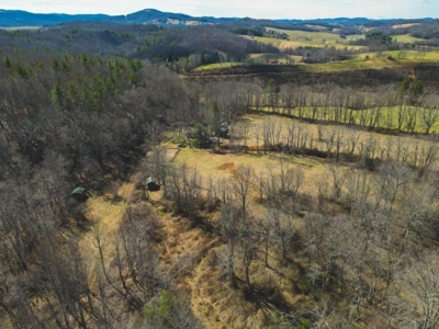 Large Land Tract for Sale in Floyd VA! - image 1