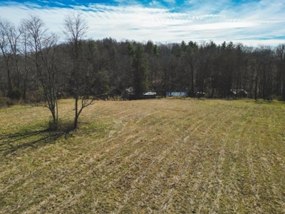 Large Land Tract for Sale in Floyd VA! - image 6