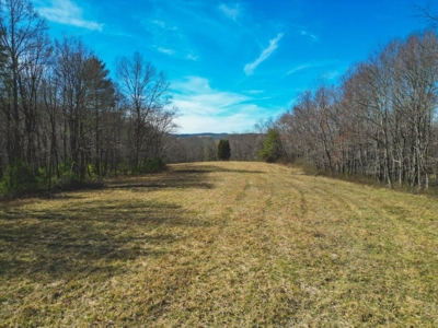 Large Land Tract for Sale in Floyd VA! - image 34