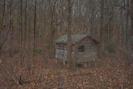 Large Land Tract for Sale in Floyd VA! - image 39