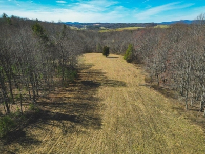 Large Land Tract for Sale in Floyd VA! - image 35