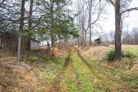 Large Land Tract for Sale in Floyd VA! - image 45