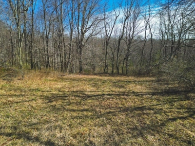 Large Land Tract for Sale in Floyd VA! - image 24