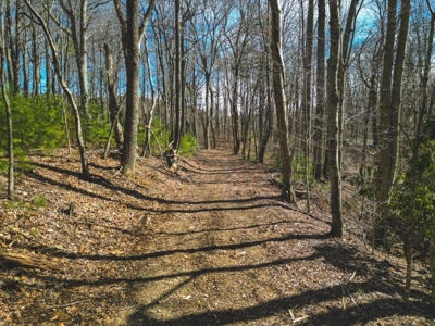 Large Land Tract for Sale in Floyd VA! - image 37