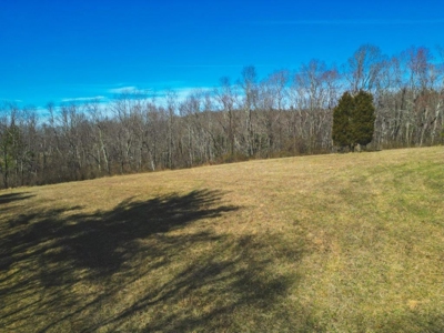 Large Land Tract for Sale in Floyd VA! - image 30
