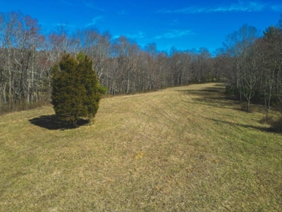 Large Land Tract for Sale in Floyd VA! - image 31