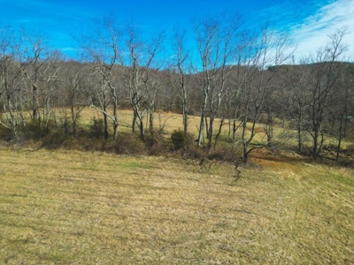 Large Land Tract for Sale in Floyd VA! - image 7