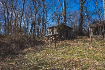 Large Land Tract for Sale in Floyd VA! - image 49