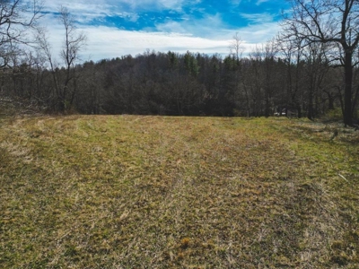 Large Land Tract for Sale in Floyd VA! - image 28