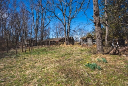 Large Land Tract for Sale in Floyd VA! - image 47