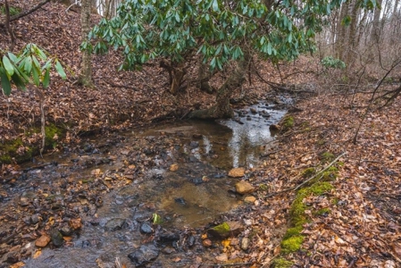 Large Land Tract for Sale in Floyd VA! - image 43