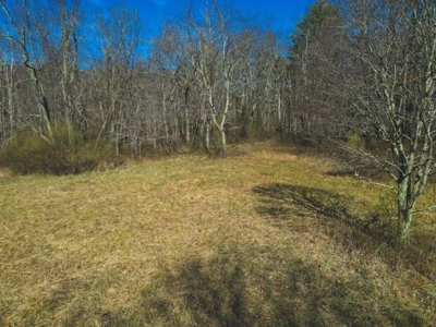 Large Land Tract for Sale in Floyd VA! - image 25
